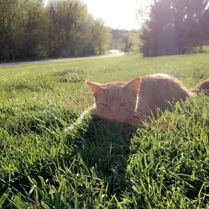 Meet your Posher, Kylah